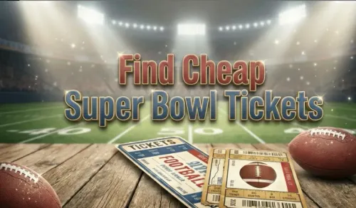 Finds the Cheapest Super Bowl LX Tickets